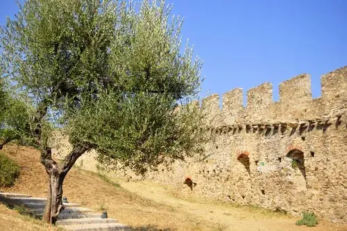 Château de Grimaud