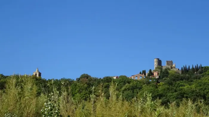 Grimaud