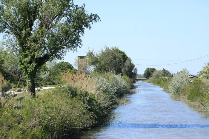 Musée de la Camargue
