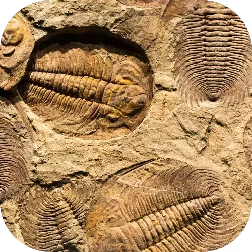 Réserve naturelle géologique du Luberon