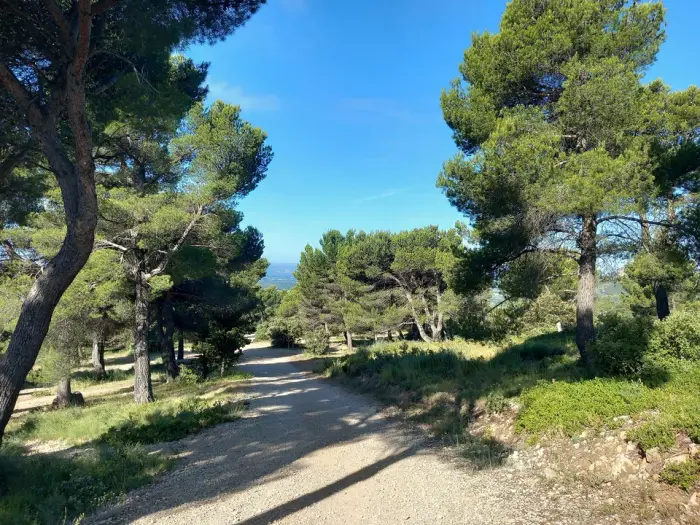 Le Lac du Paty