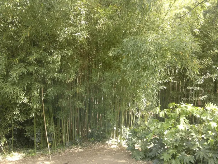 Parc Olbius Riquier