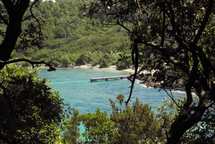 Île de Port-Cros