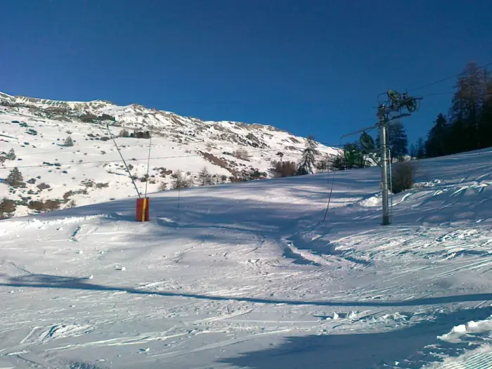 Vars