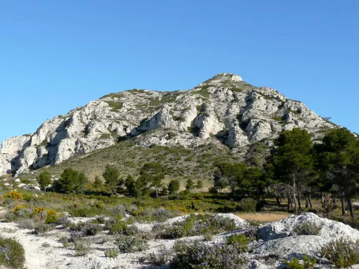 Les Alpilles