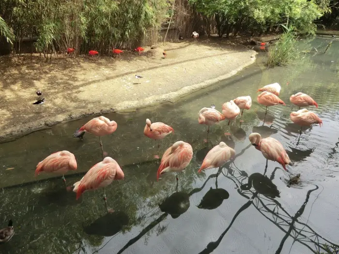 Parc des oiseaux