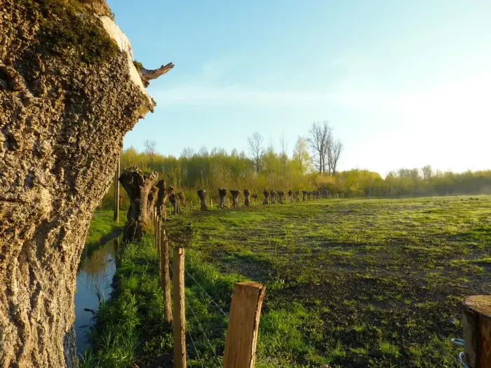 Marais Poitevin