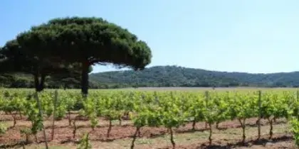 Hyères, îles et villages alentours