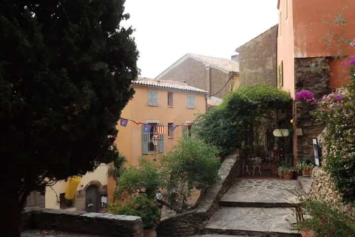 Bormes les Mimosas