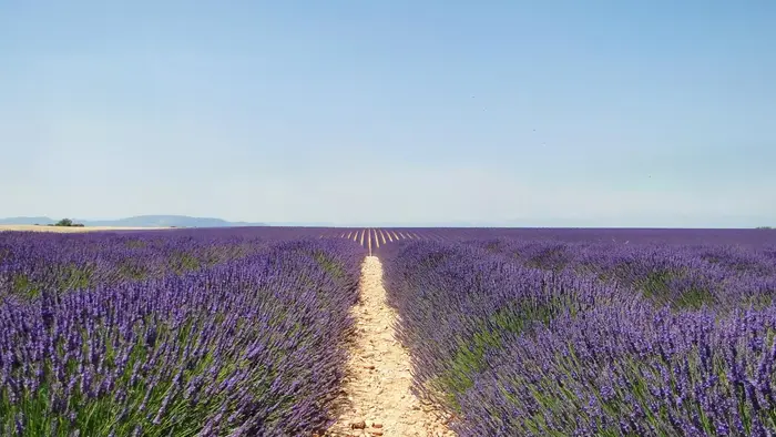 Verdon, lacs et villages provençaux