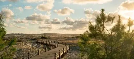 Entre lac landais, plages et nature