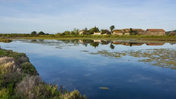 La Réserve naturelle de Roque-Haute