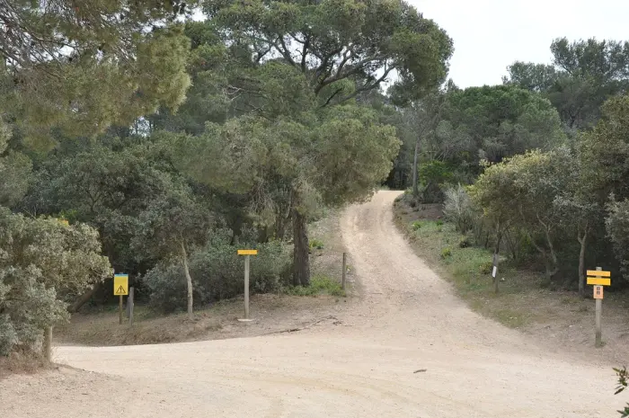 Porquerolles - Les îles d'or