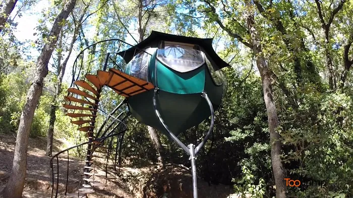 Camping - Carnoules - Provence-Alpes-Côte d'Azur - La Tuilière