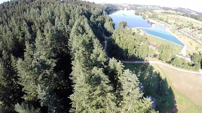 Camping - Cublize - Rhône-Alpes - Cabanes du Lac des sapins