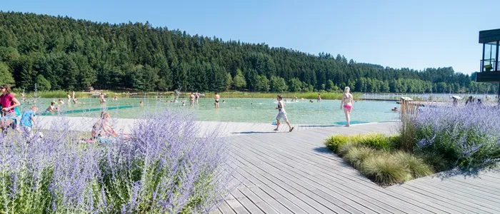 Camping - Cublize - Rhône-Alpes - Le Lac des Sapins