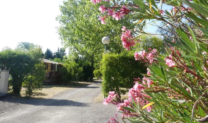 Camping - Montolieu - Languedoc-Roussillon - Camping de Montolieu