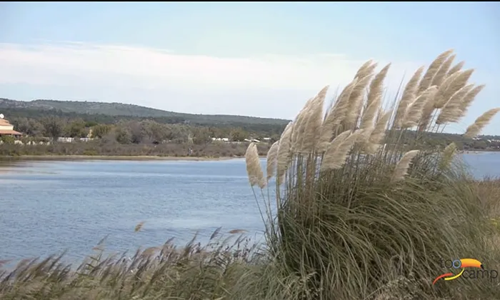 Camping - Gruissan - Languedoc-Roussillon - Le Hameau des Canisses