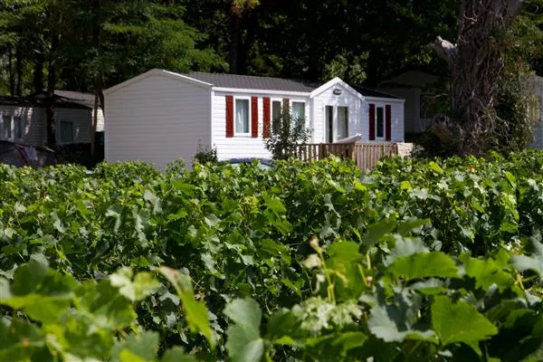 Camping - Petit-Palais-et-Cornemps - Aquitaine - Le Pressoir
