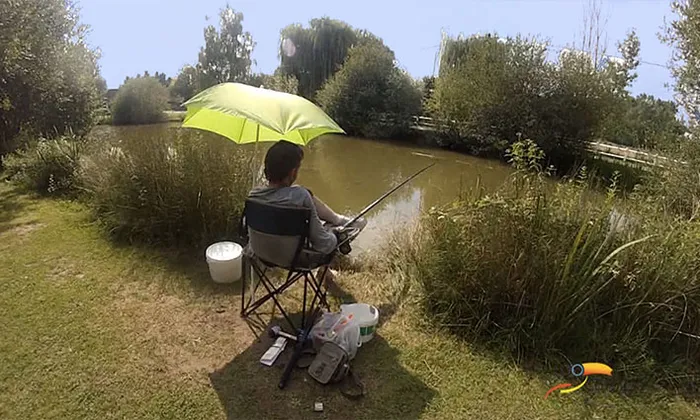 Camping - Cheverny - Grand Centre - Les Saules