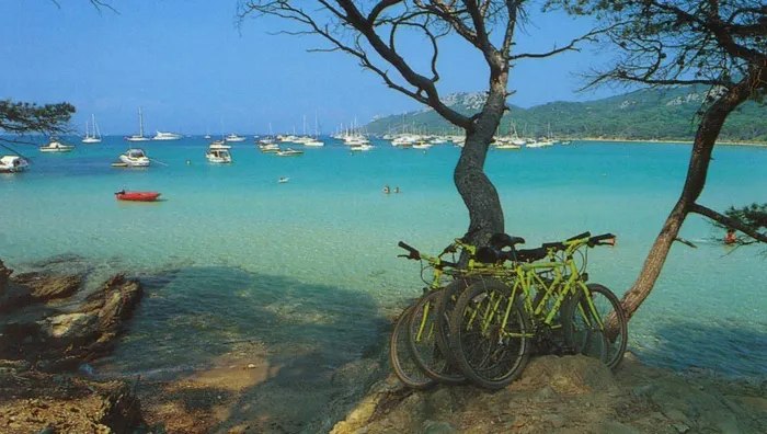 Camping - Hyères - Provence-Alpes-Côte d'Azur - L'Ile d'Or