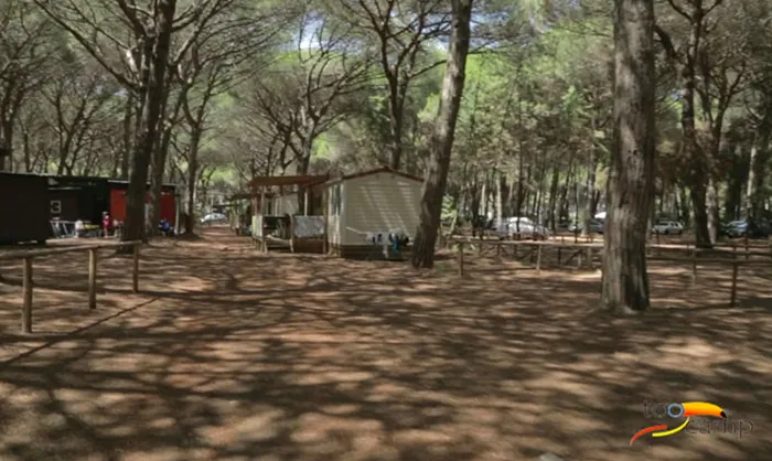 Camping - Tarquinia - Latium - Riviera degli Etruschi