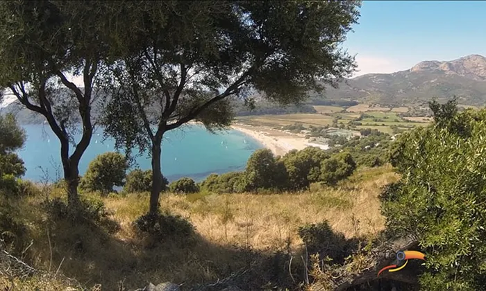 Camping - Cargèse - Corse - Torraccia
