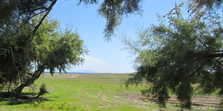 Camping Miami Plage 2 étoiles Poggio Mezzana Toocamp