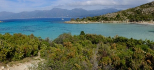 Camping Corse Bord De Mer 103 Campings En Corse à Comparer