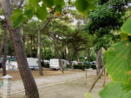 Camping cecina toscane Camping cecina toscane