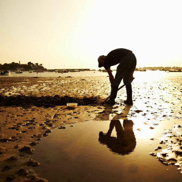 Les meilleurs campings pour pratiquer la pêche à pieds