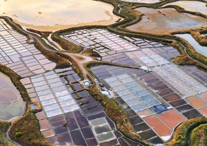 Trip d'une semaine dans la Loire-Atlantique