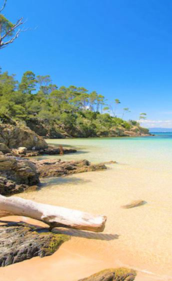 Bons Plans Camping Côte d'Azur