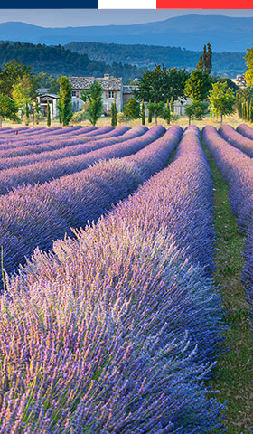 Top campings dans le Luberon