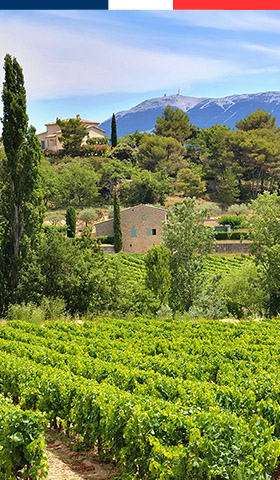 Les meilleurs campings natures