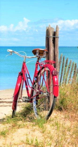 Top 5 : Que faire sur l'île de Ré ?