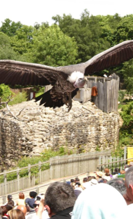 Les meilleurs campings près du parc