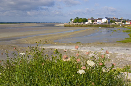 Le Crotoy - 8 - campings