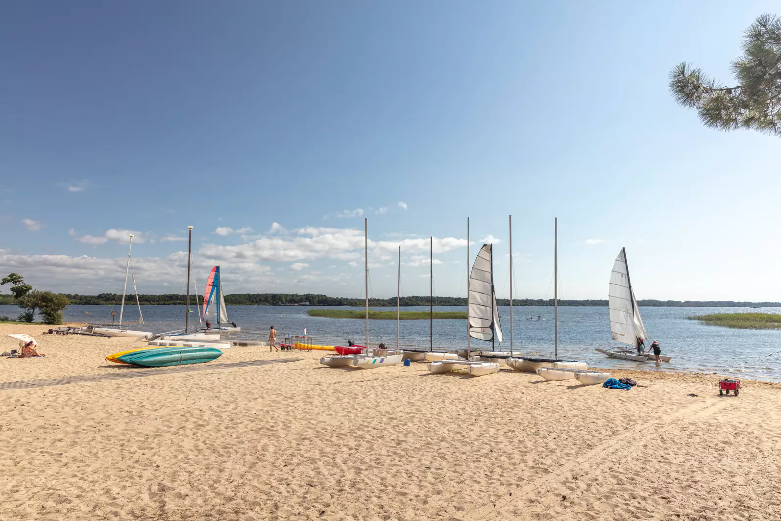 Au Lac de Biscarrosse Aquitaine - Parentis-en-Born visuel 1/1